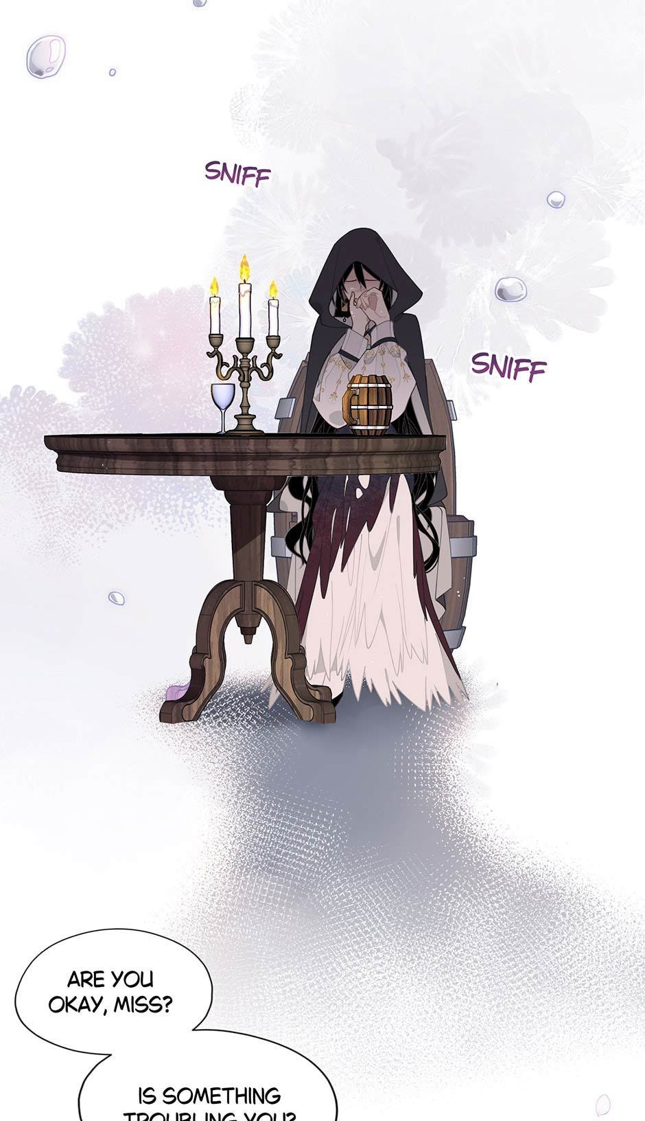 The Paladin