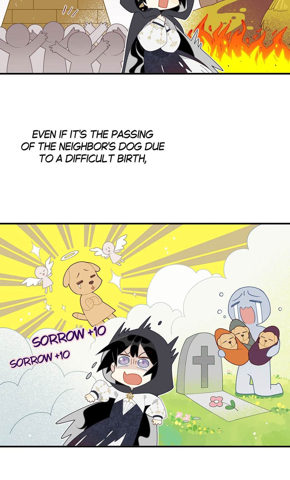 The Paladin