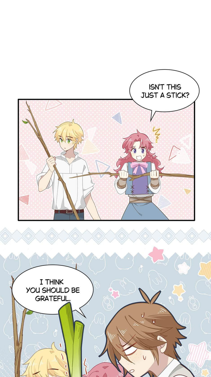 The Paladin