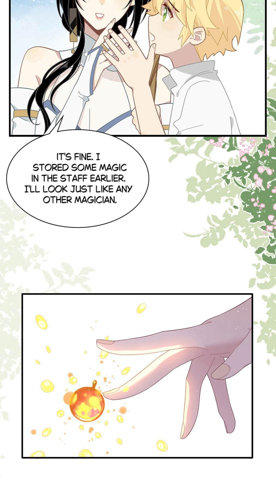 The Paladin