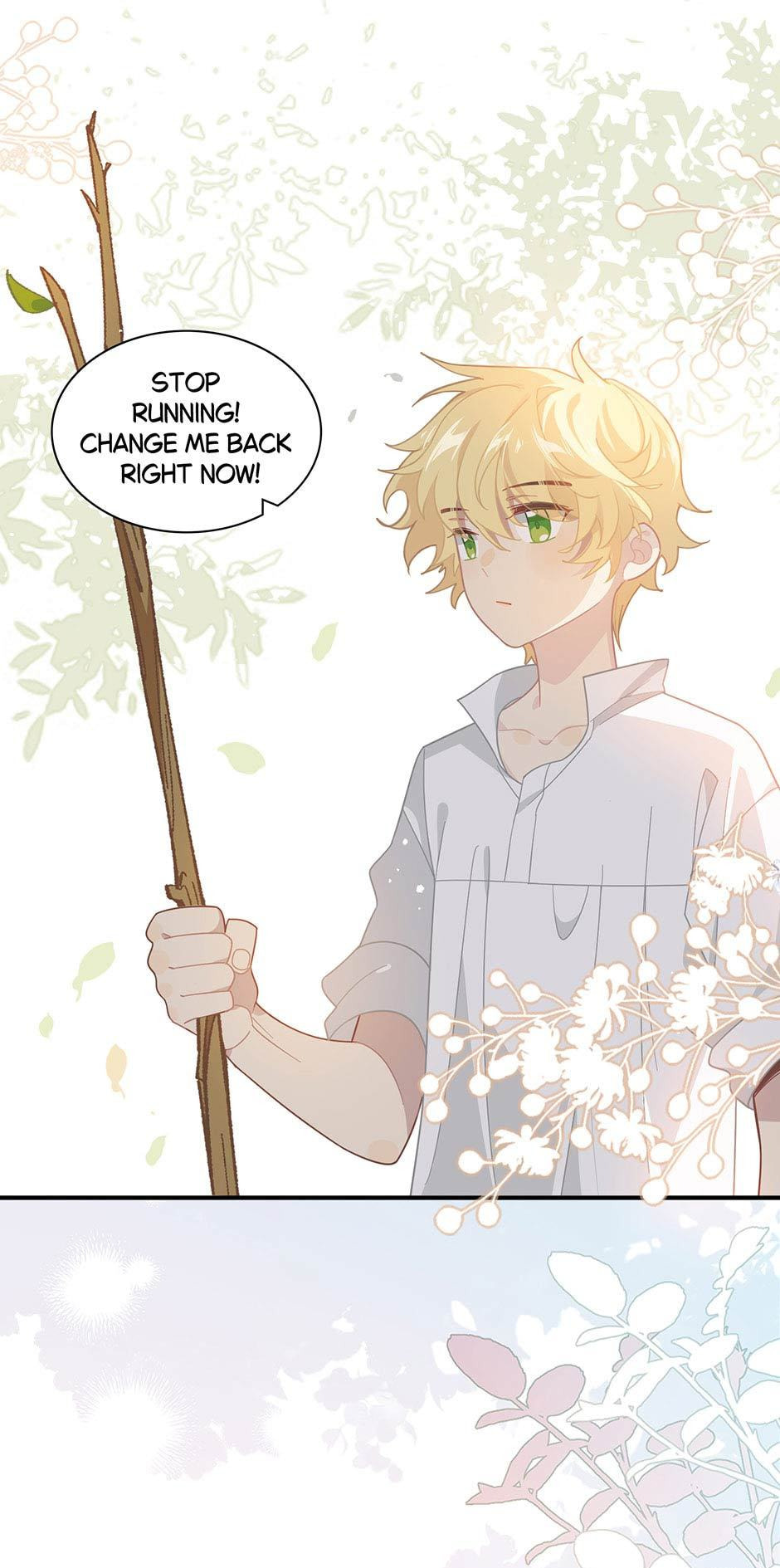 The Paladin