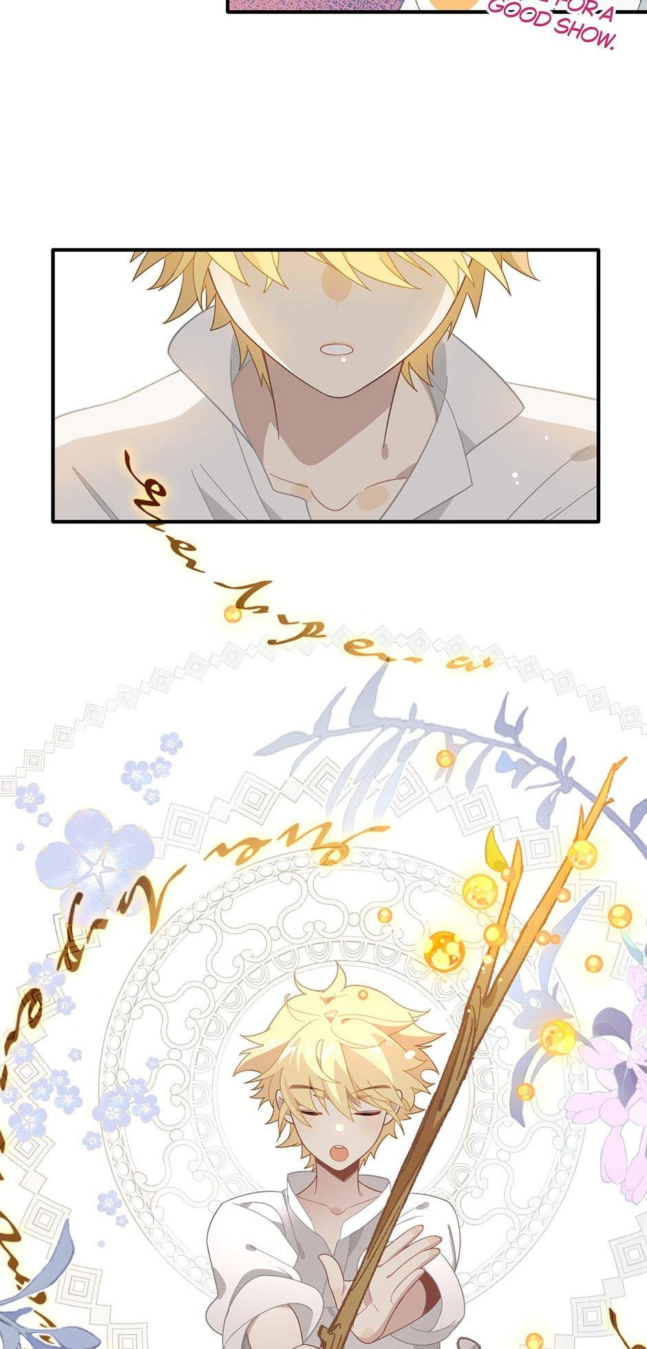The Paladin