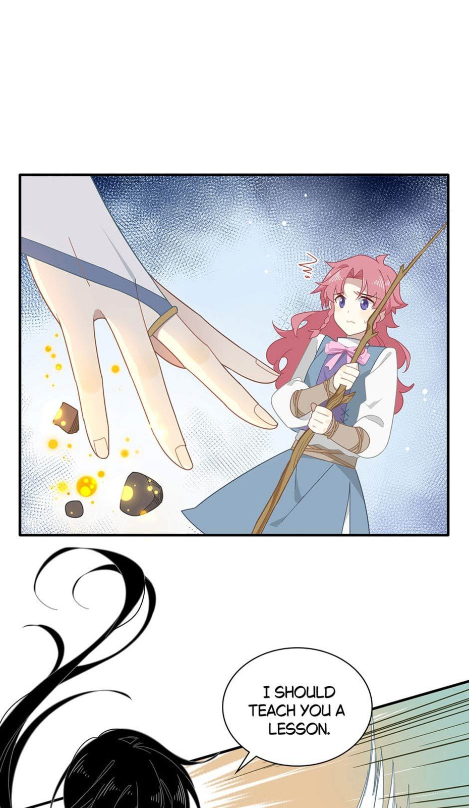 The Paladin