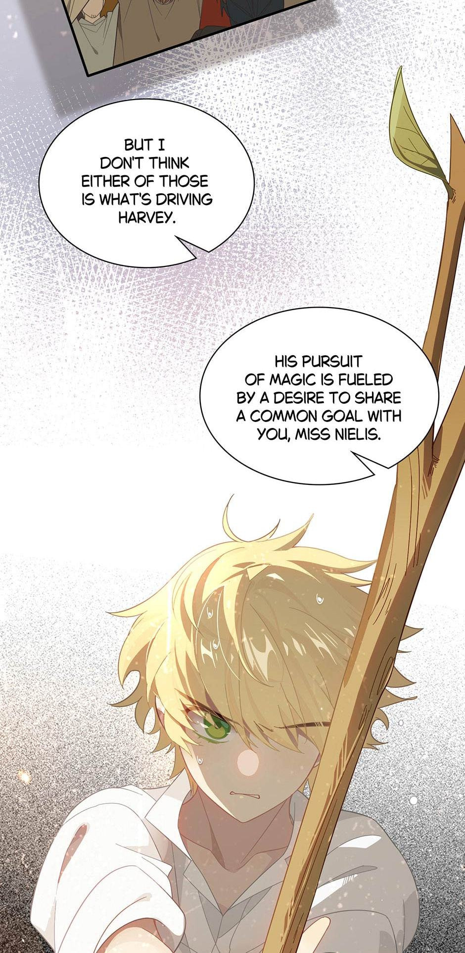 The Paladin