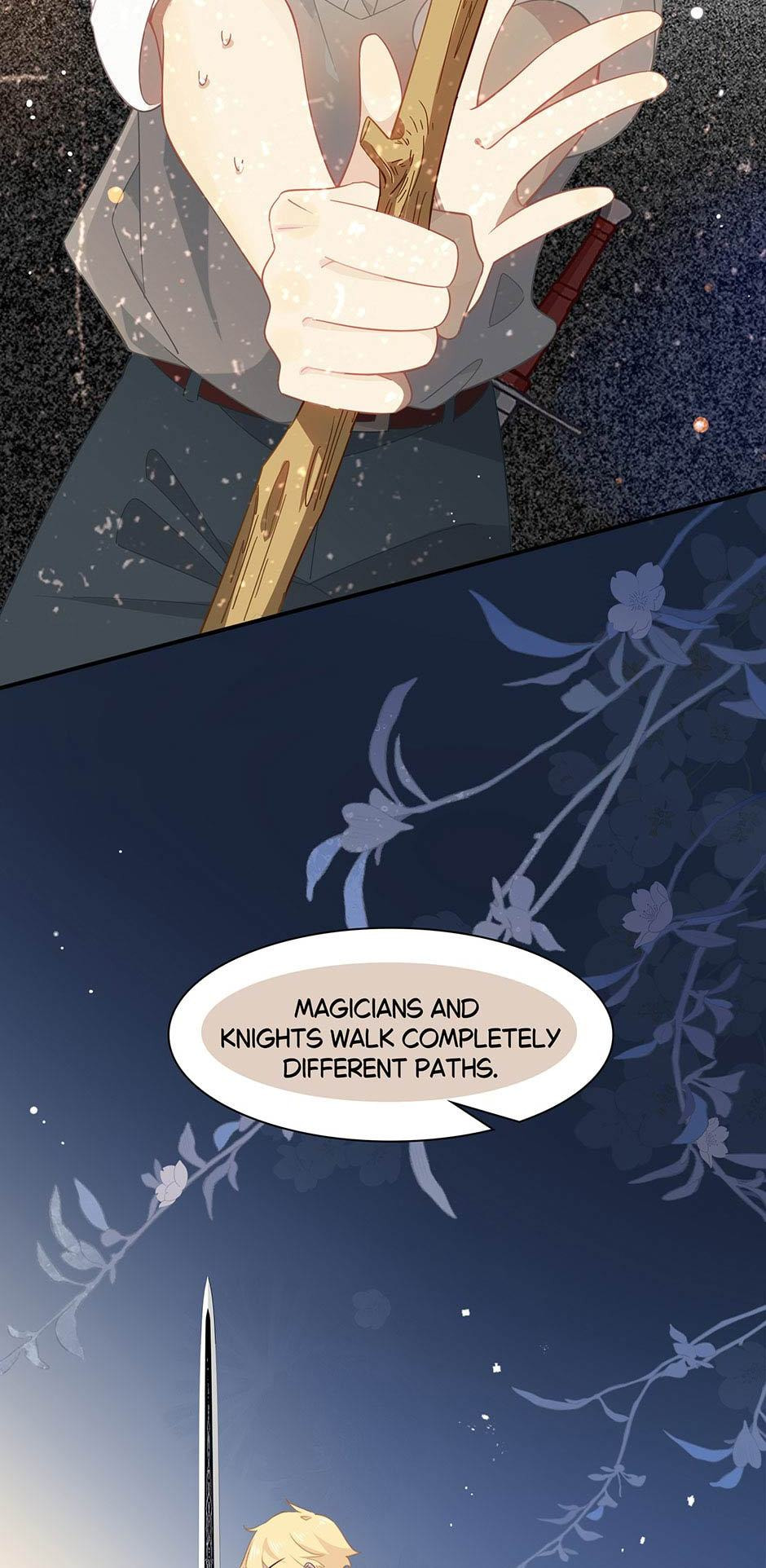 The Paladin