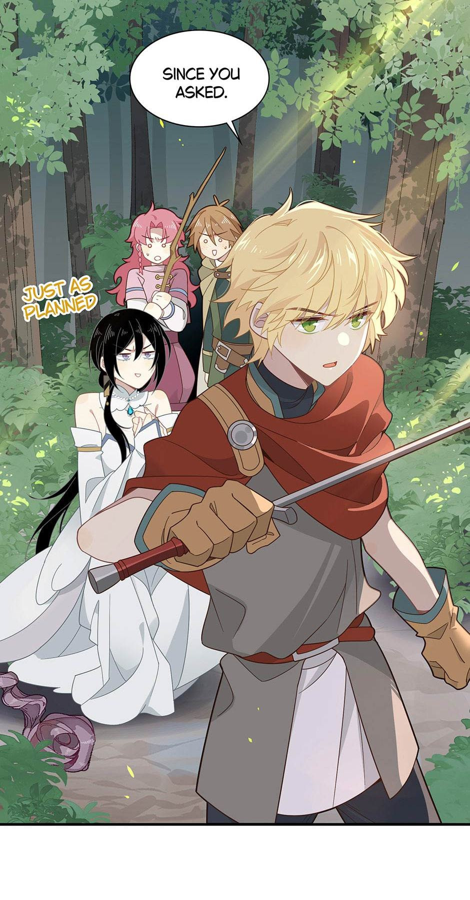 The Paladin