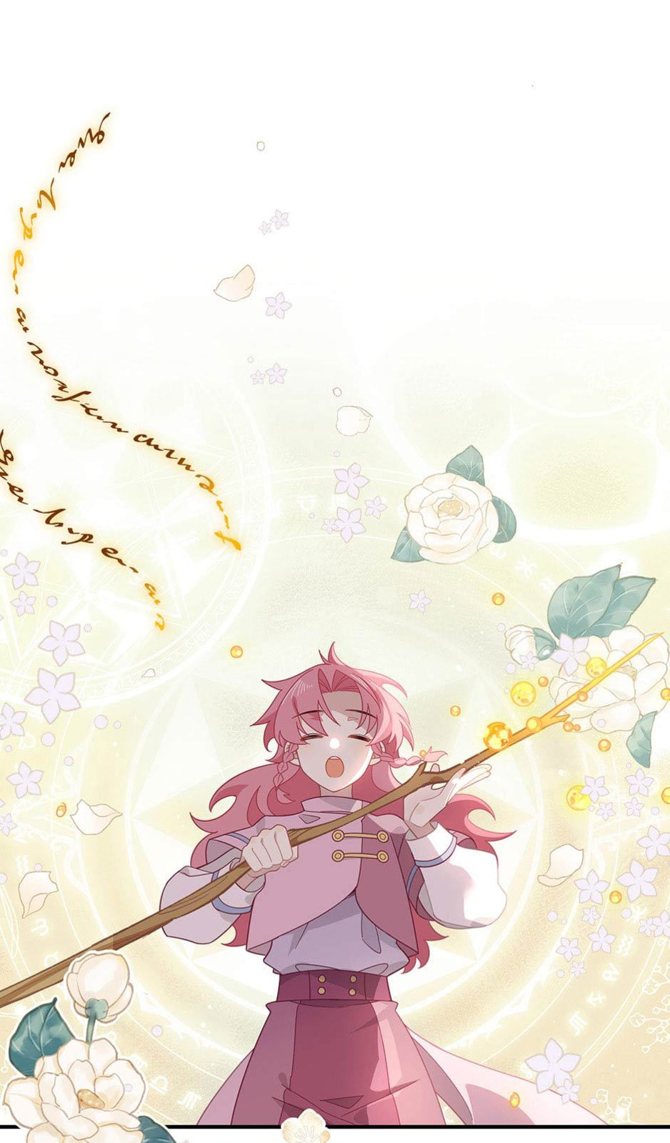 The Paladin