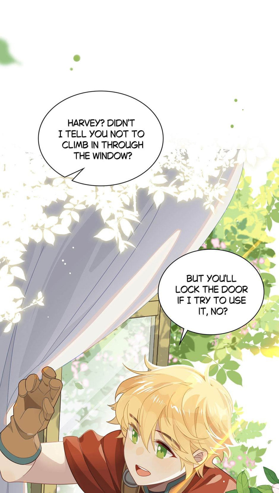 The Paladin