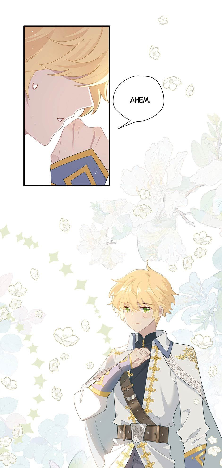 The Paladin