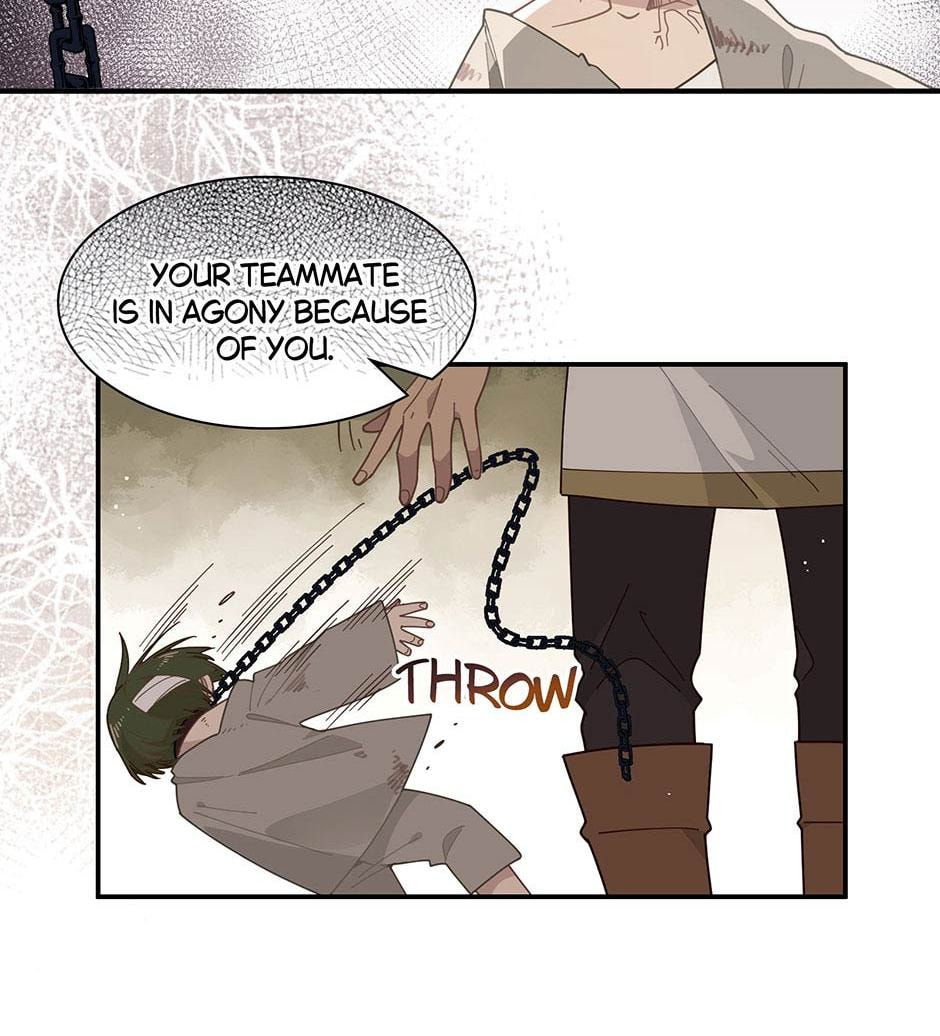 The Paladin