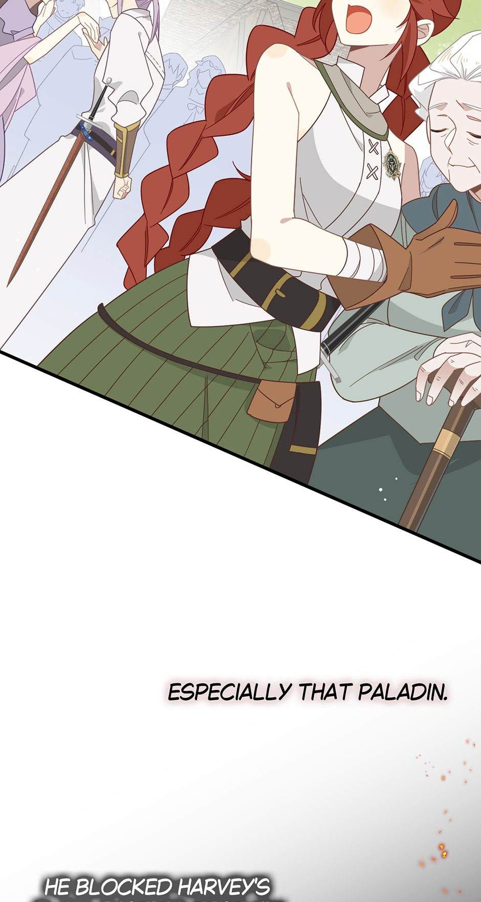 The Paladin