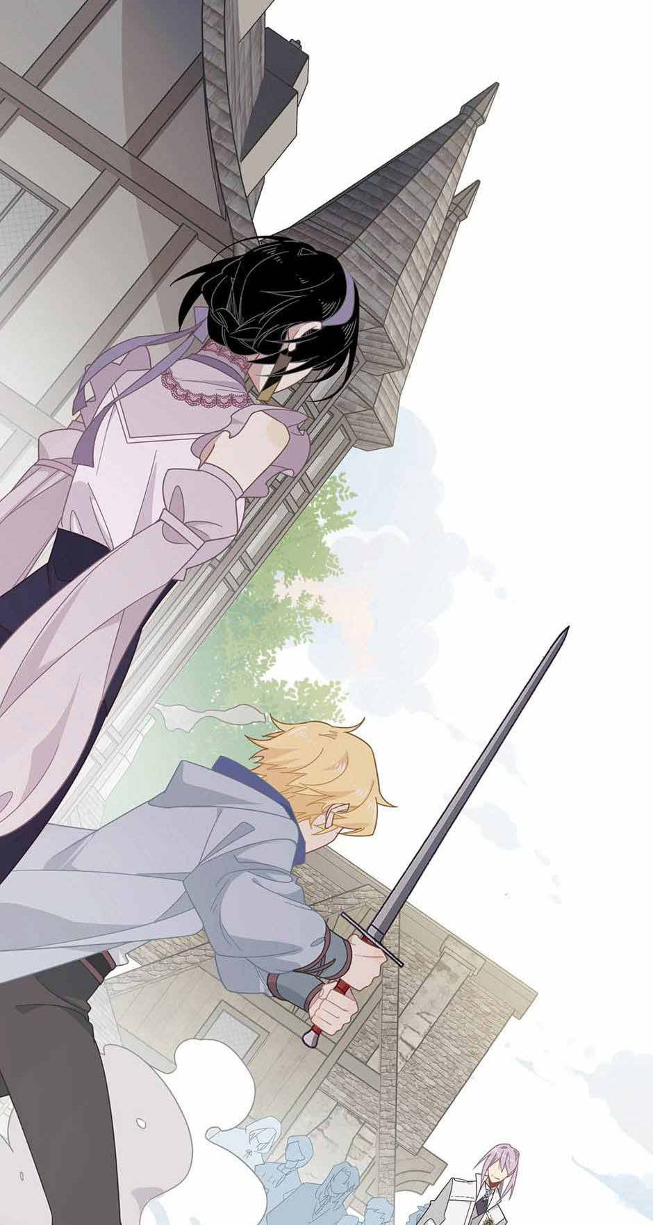 The Paladin