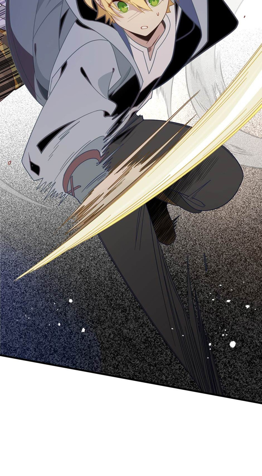 The Paladin