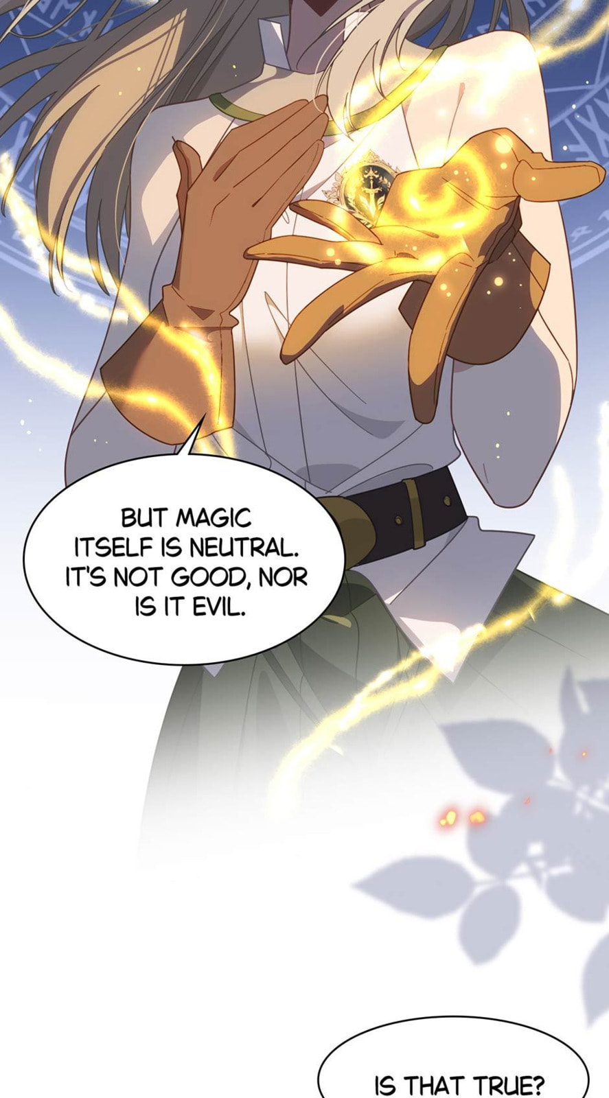 The Paladin