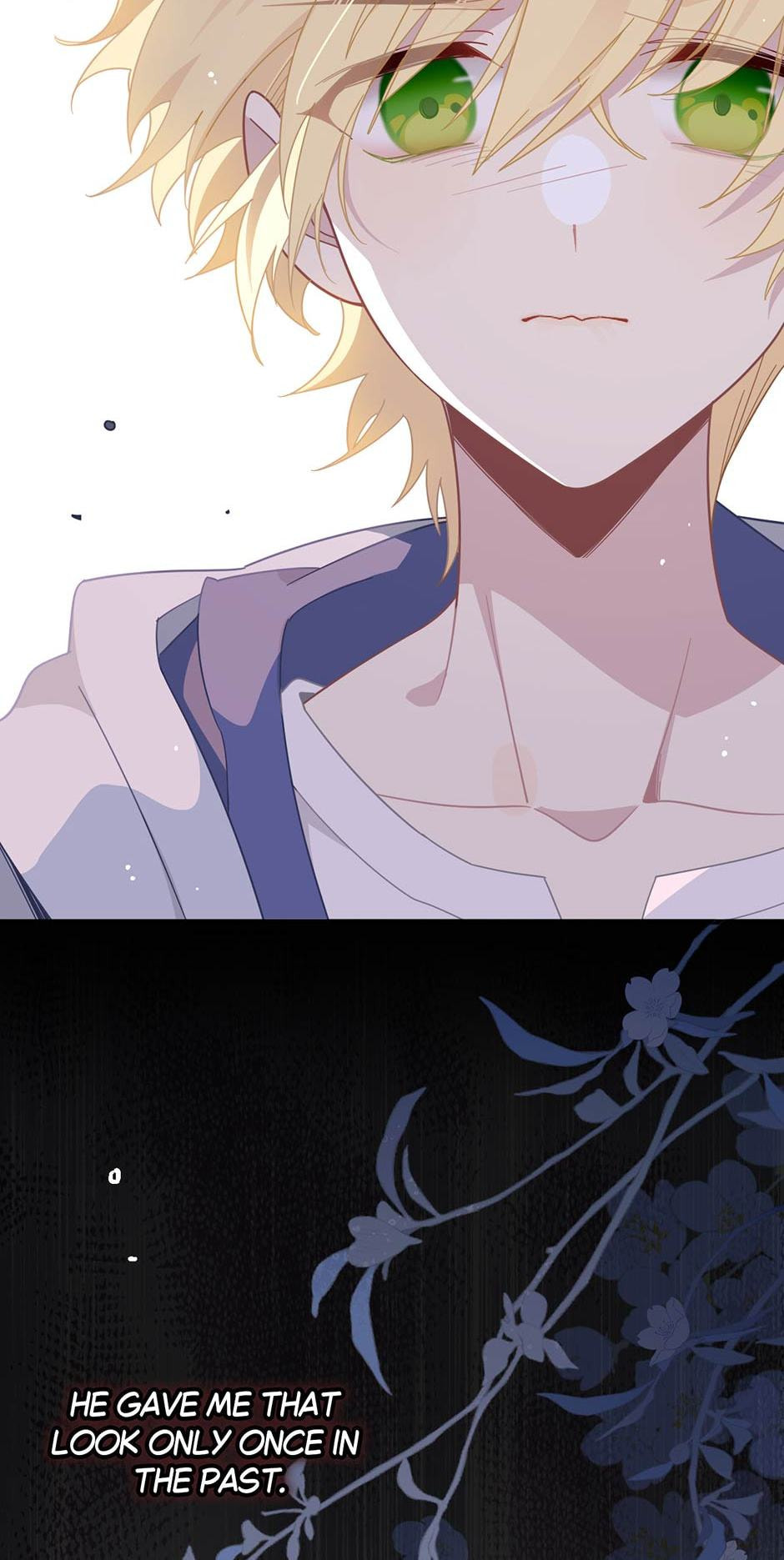 The Paladin