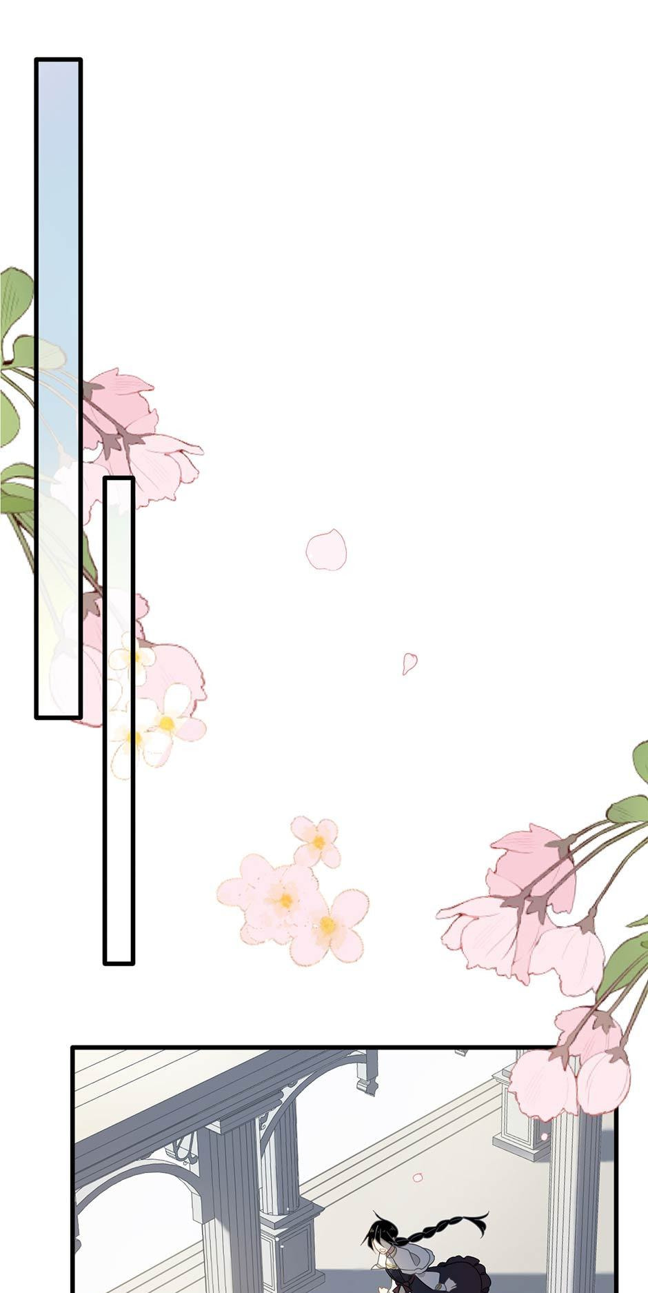 The Paladin