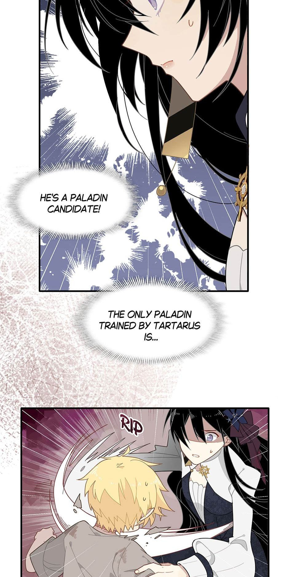 The Paladin