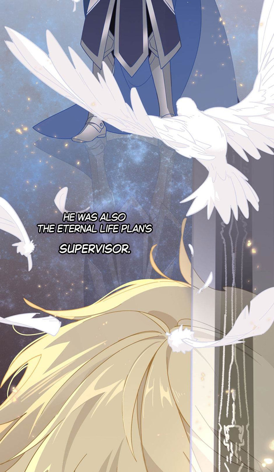 The Paladin