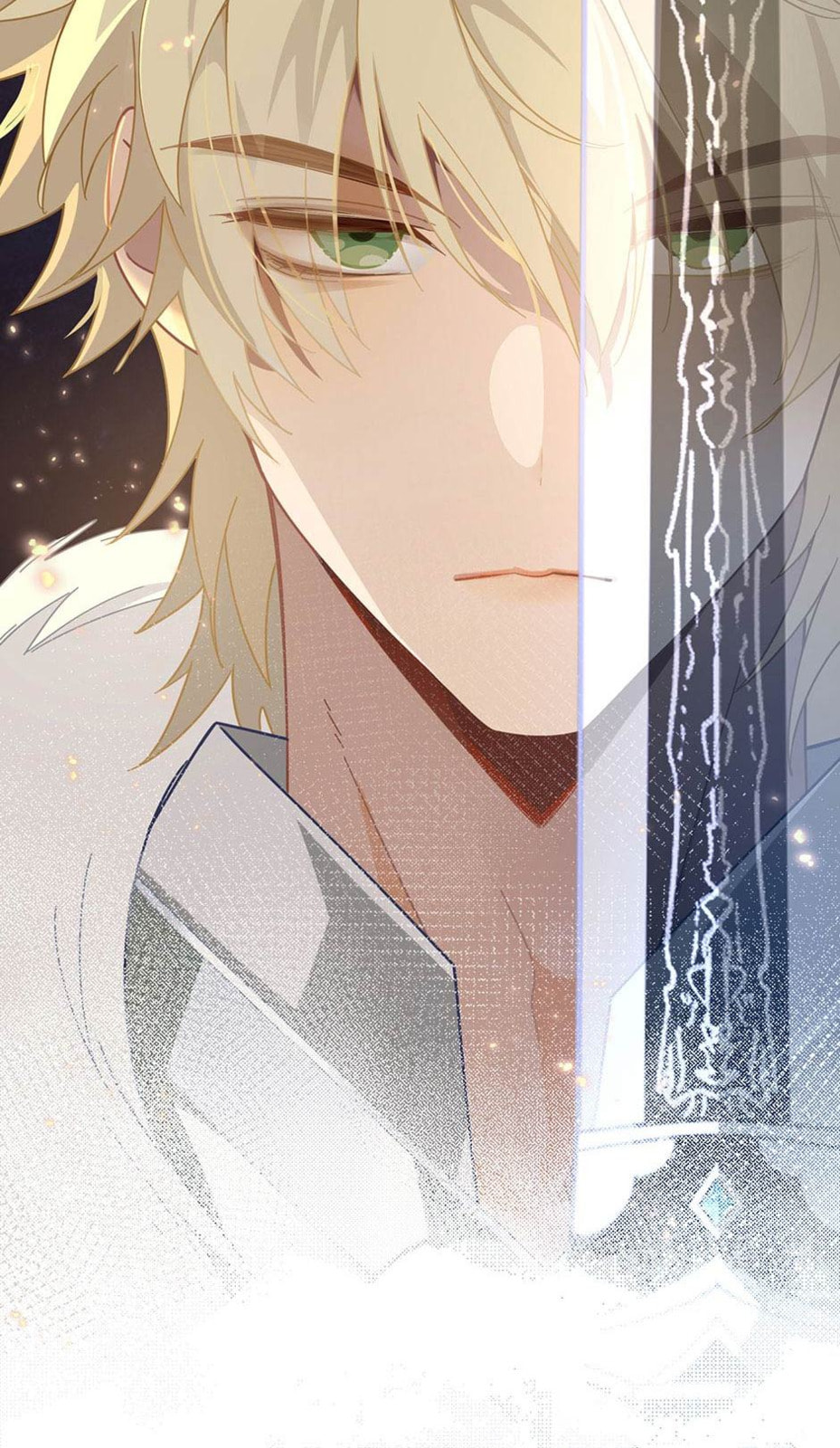 The Paladin