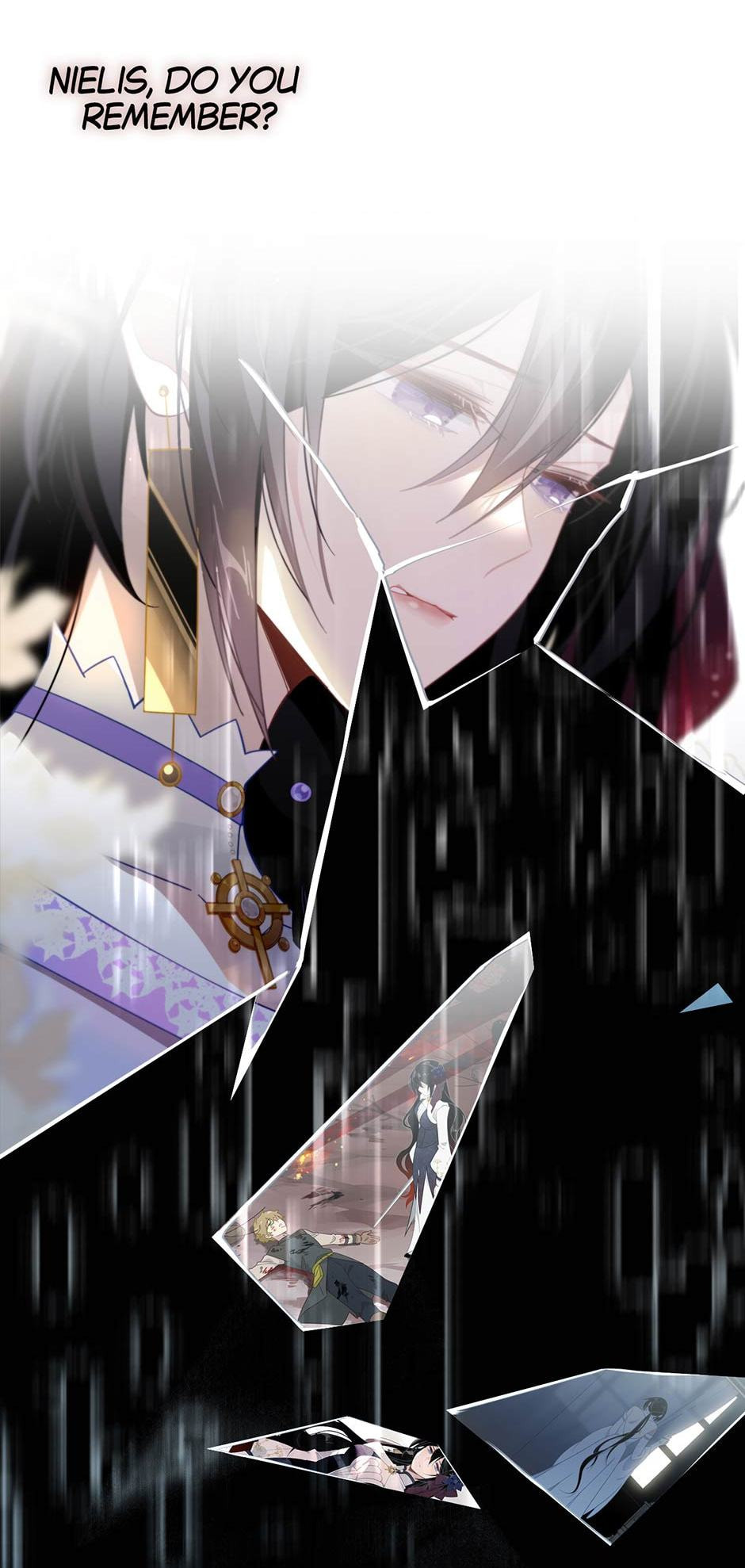 The Paladin
