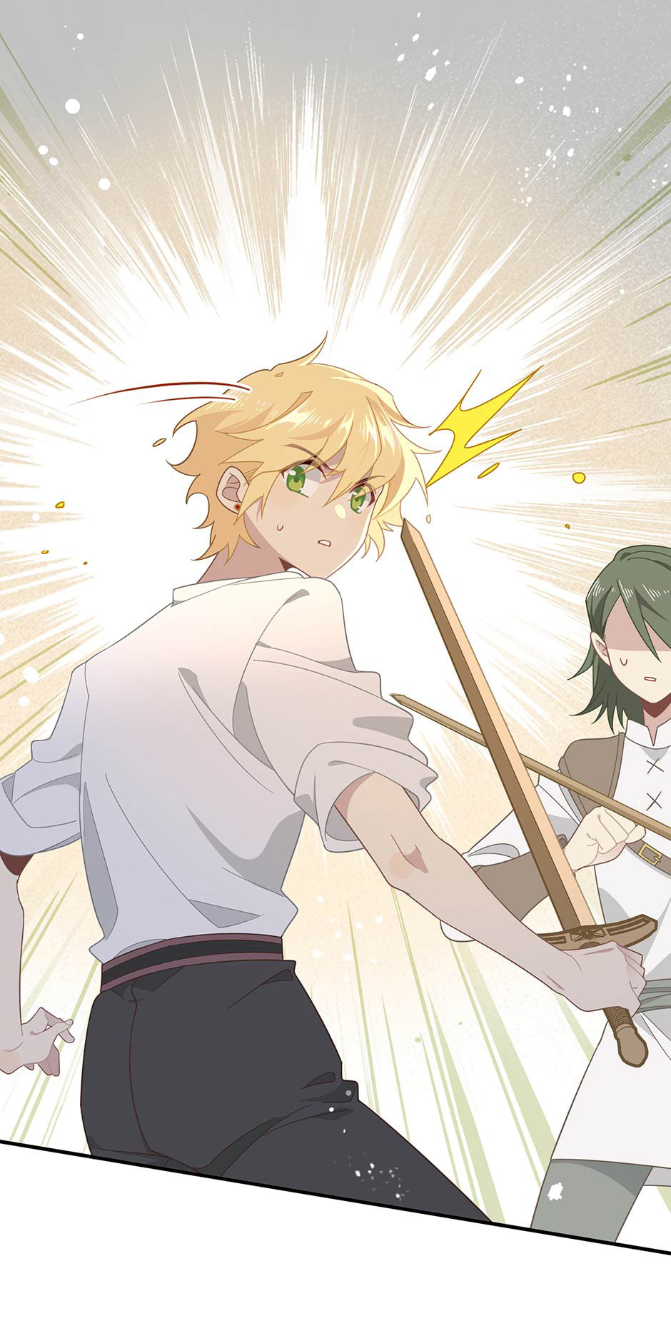 The Paladin