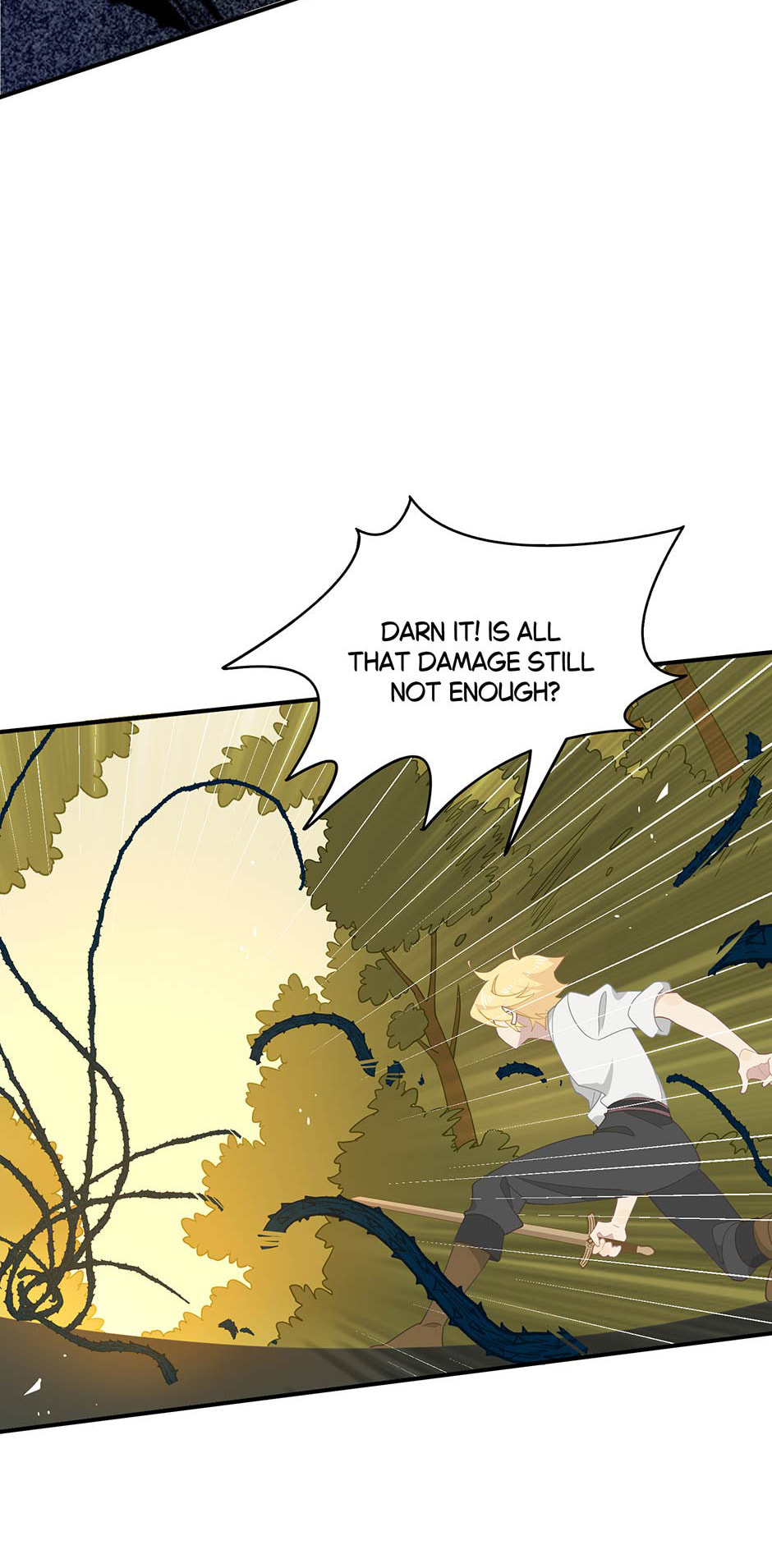 The Paladin