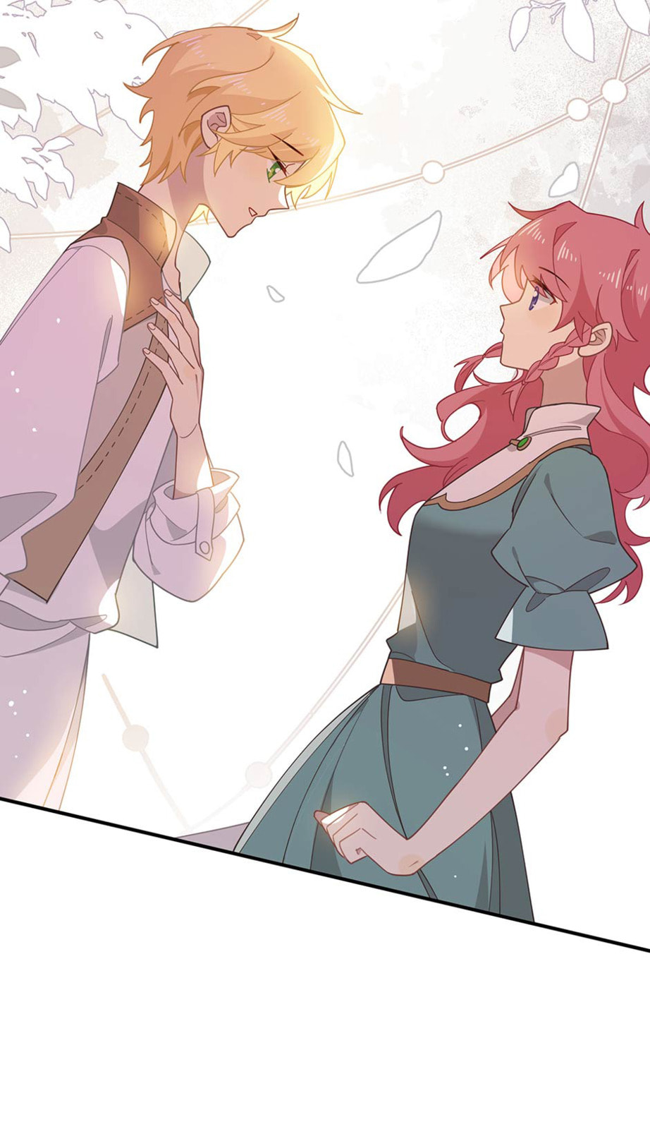 The Paladin