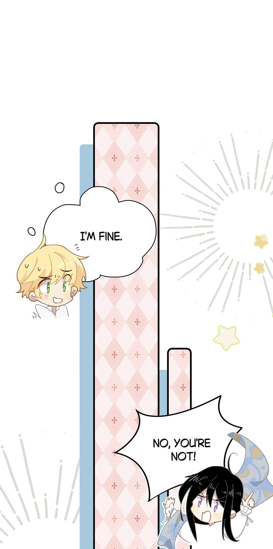 The Paladin