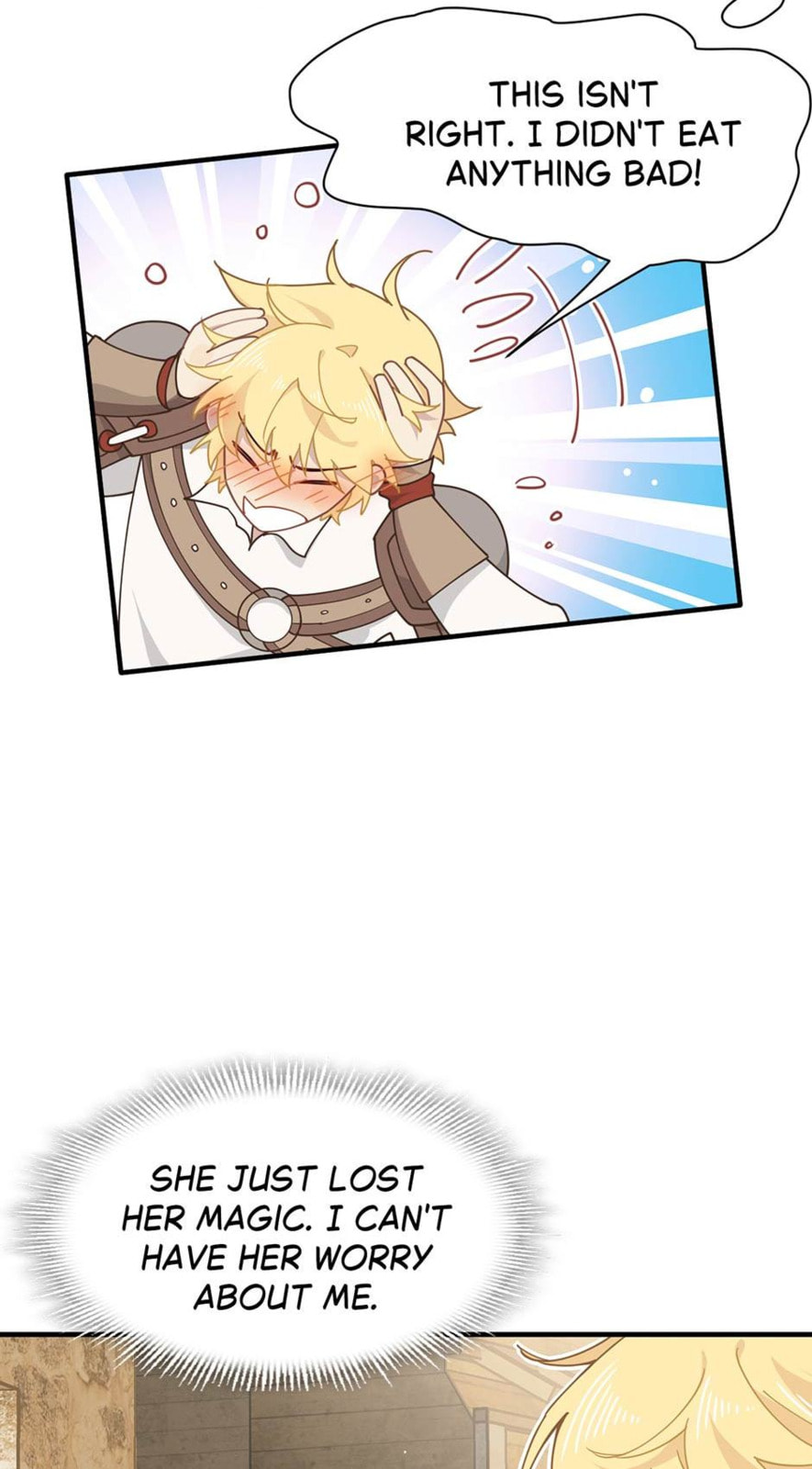The Paladin
