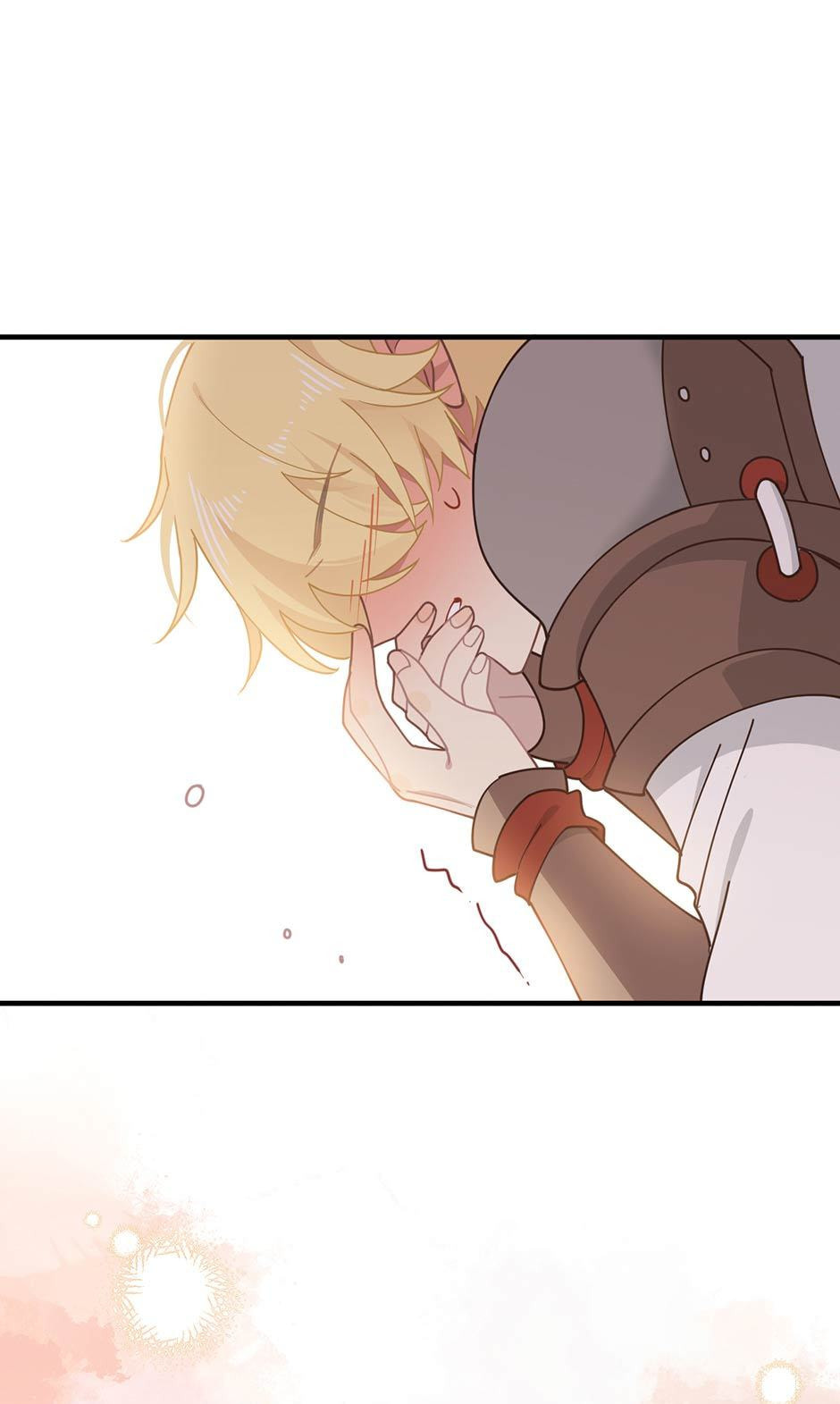 The Paladin