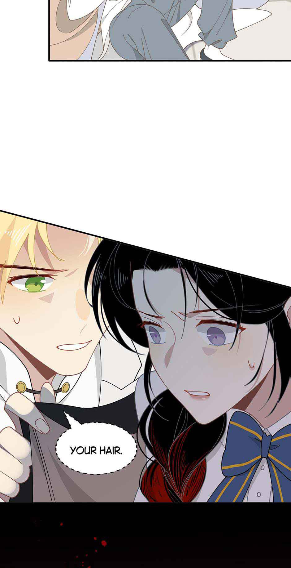 The Paladin
