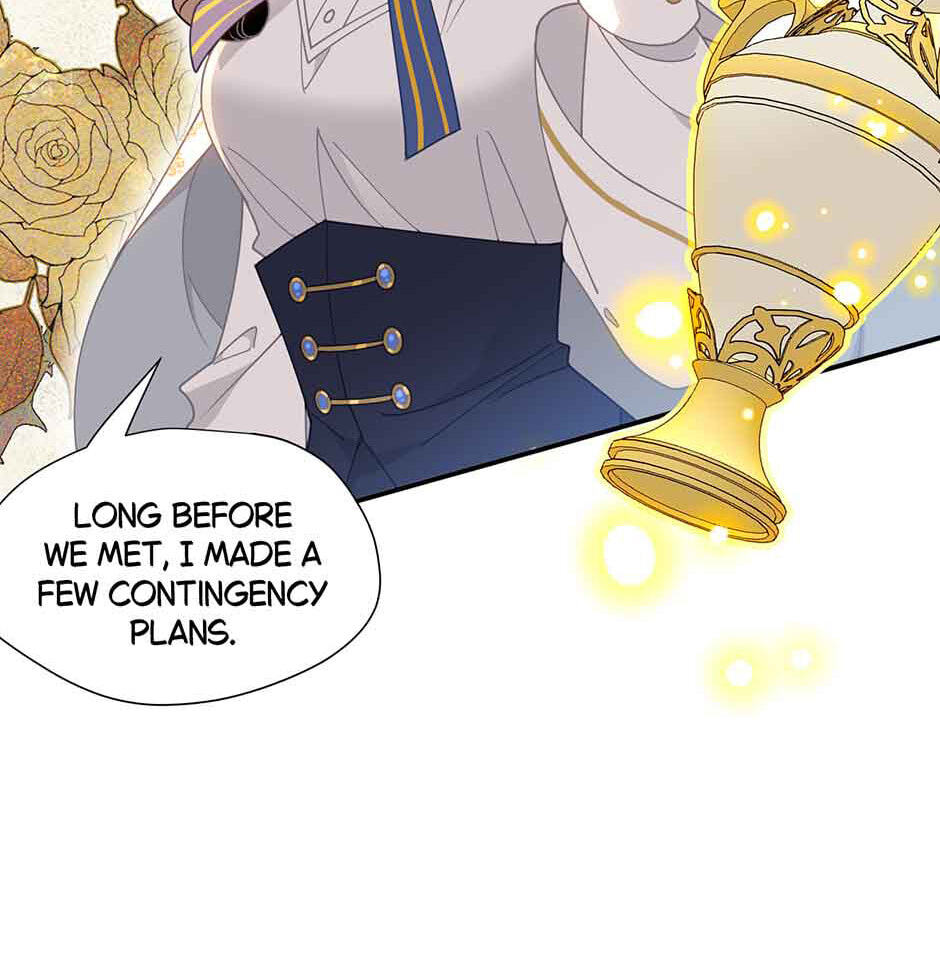 The Paladin