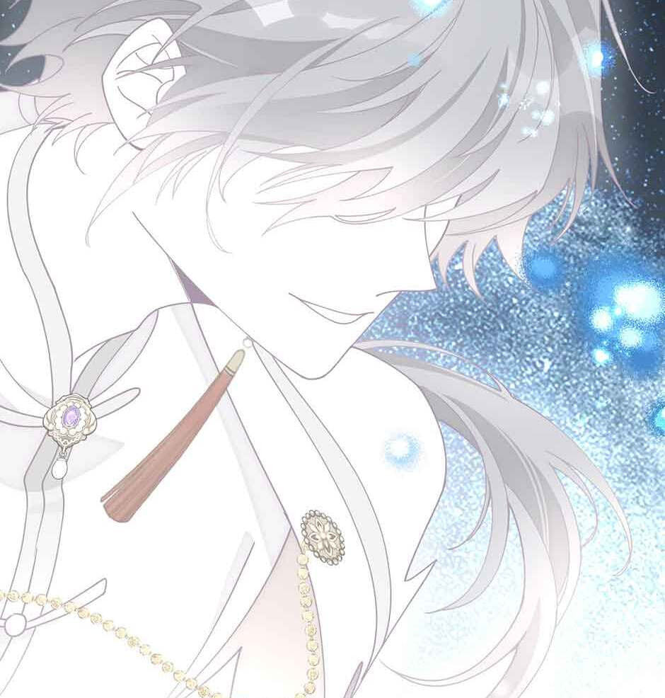 The Paladin