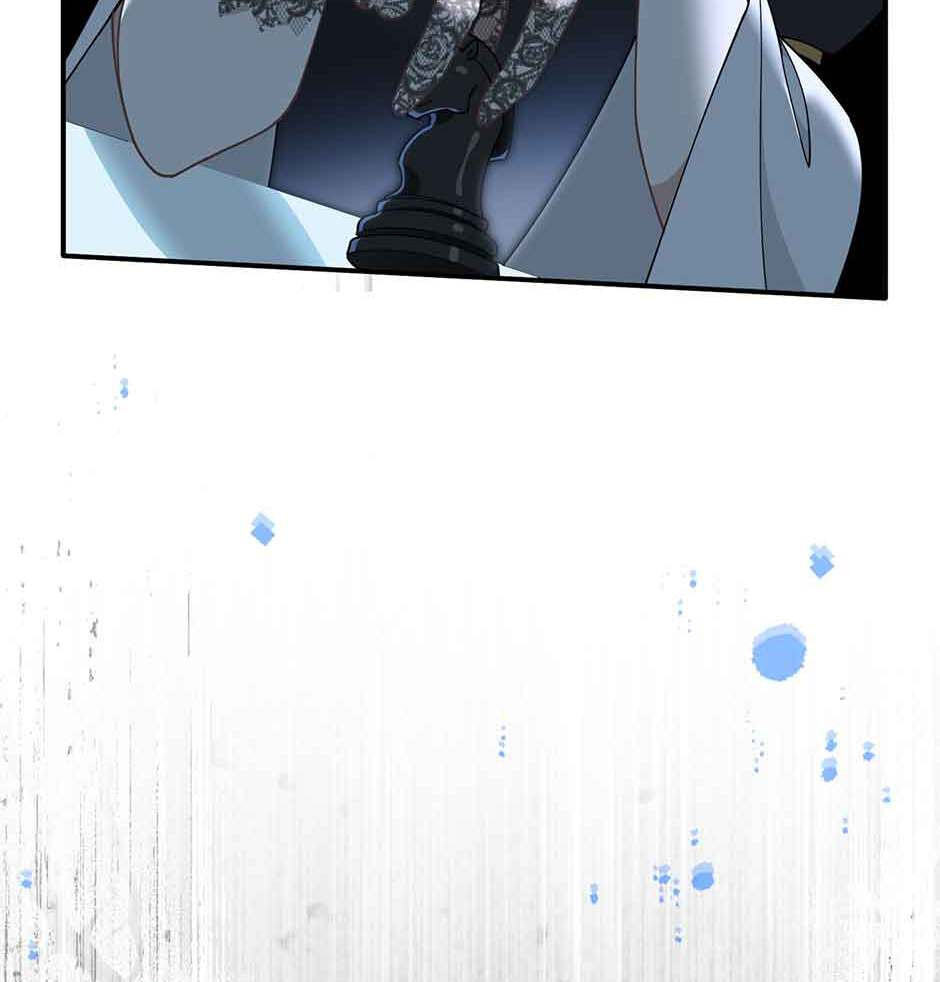 The Paladin
