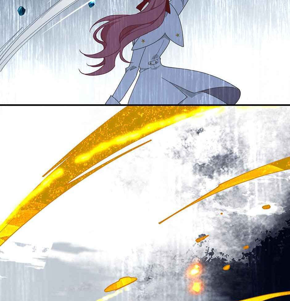 The Paladin