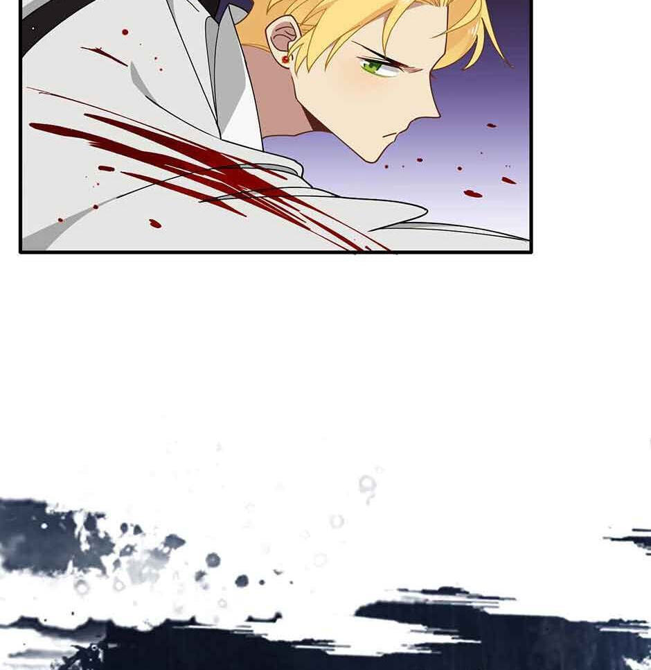 The Paladin