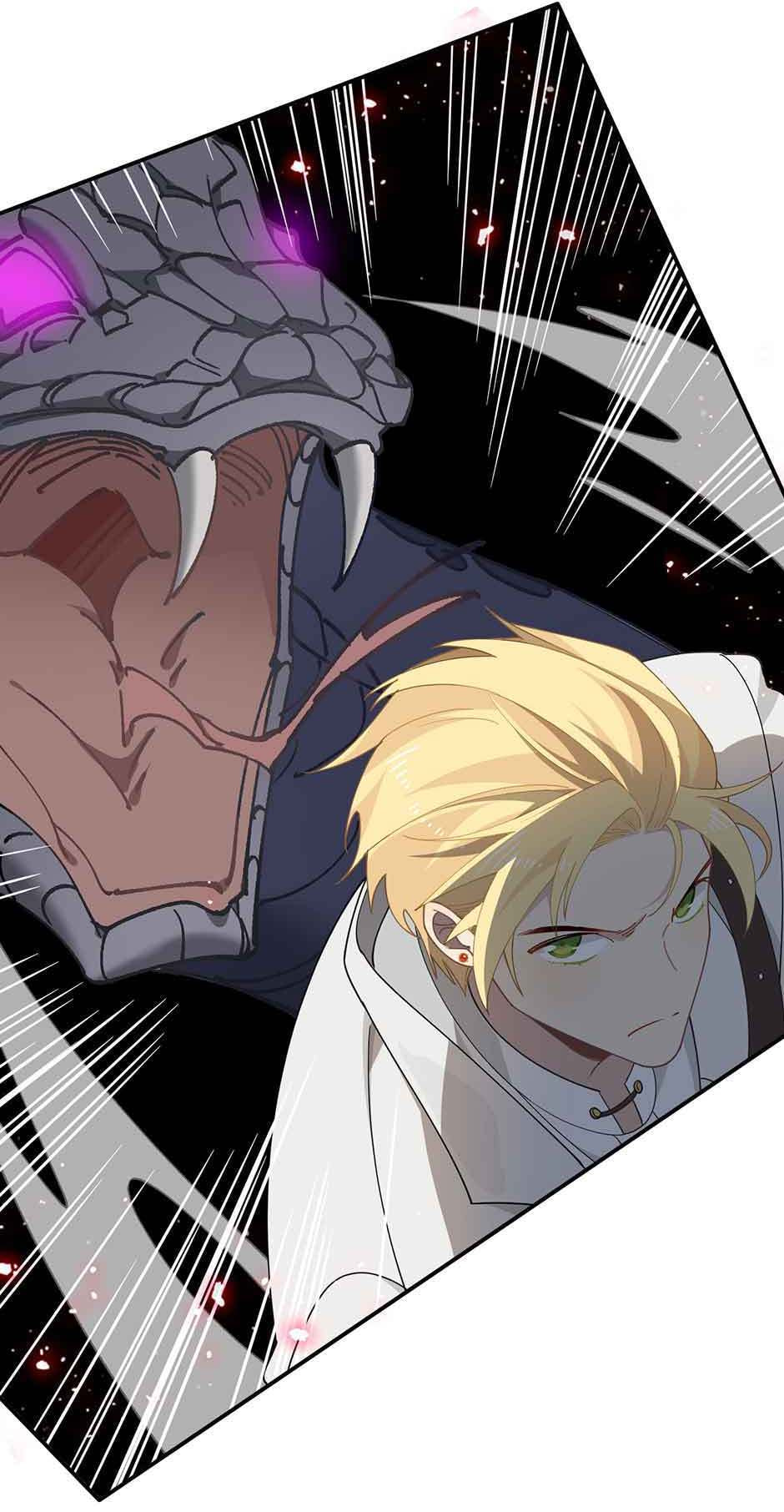 The Paladin