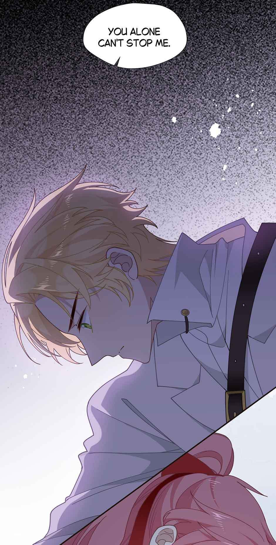 The Paladin