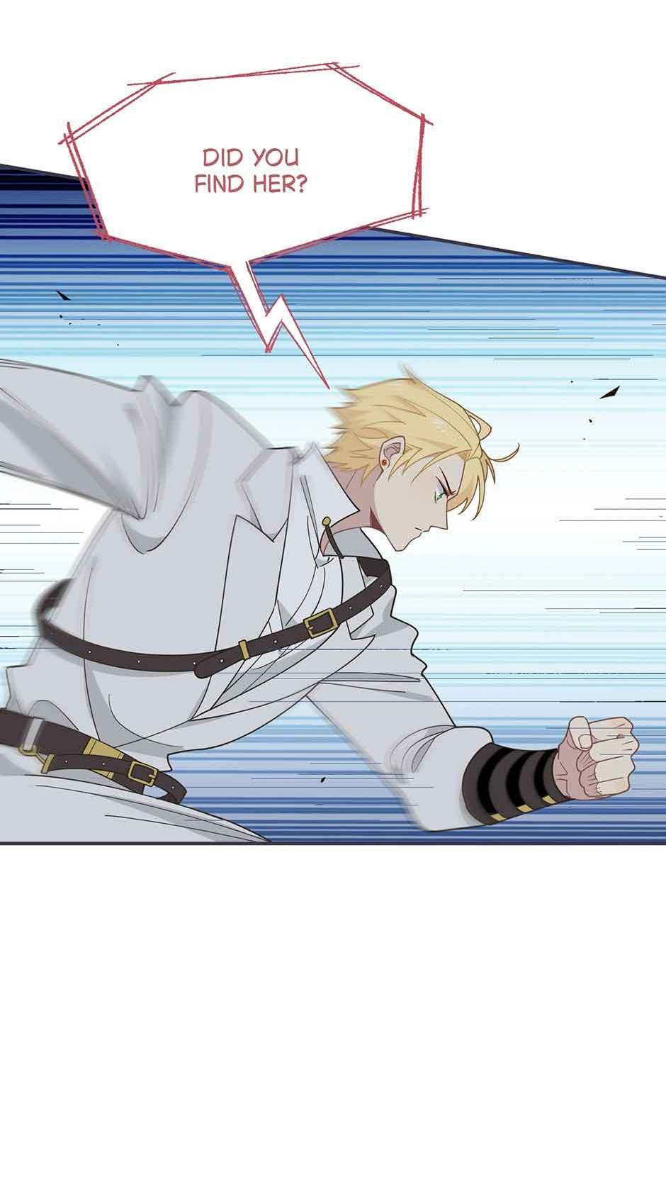 The Paladin