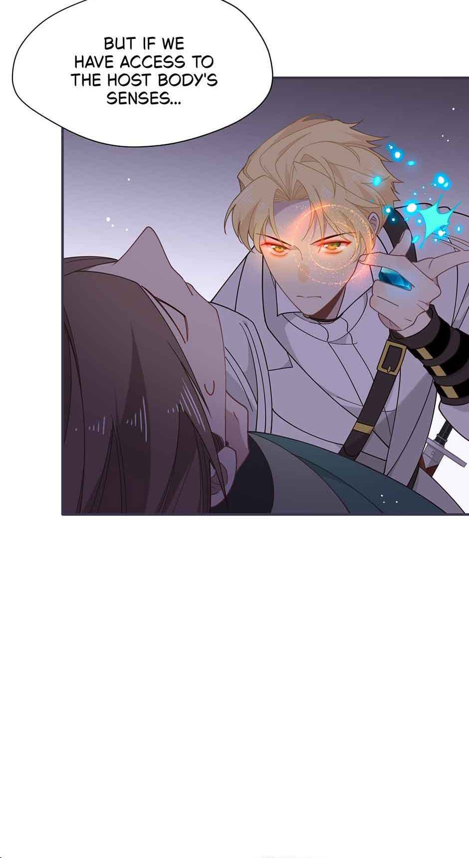 The Paladin