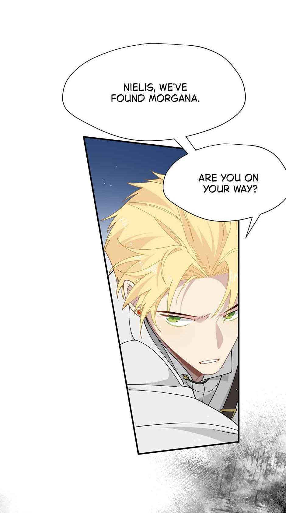 The Paladin