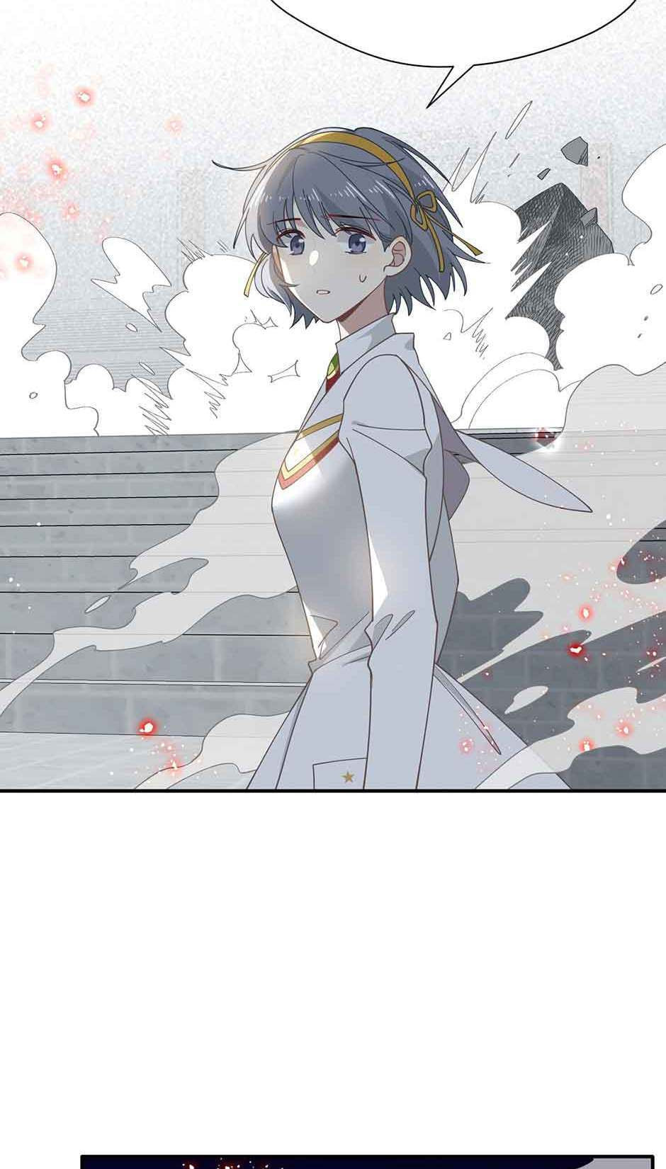 The Paladin