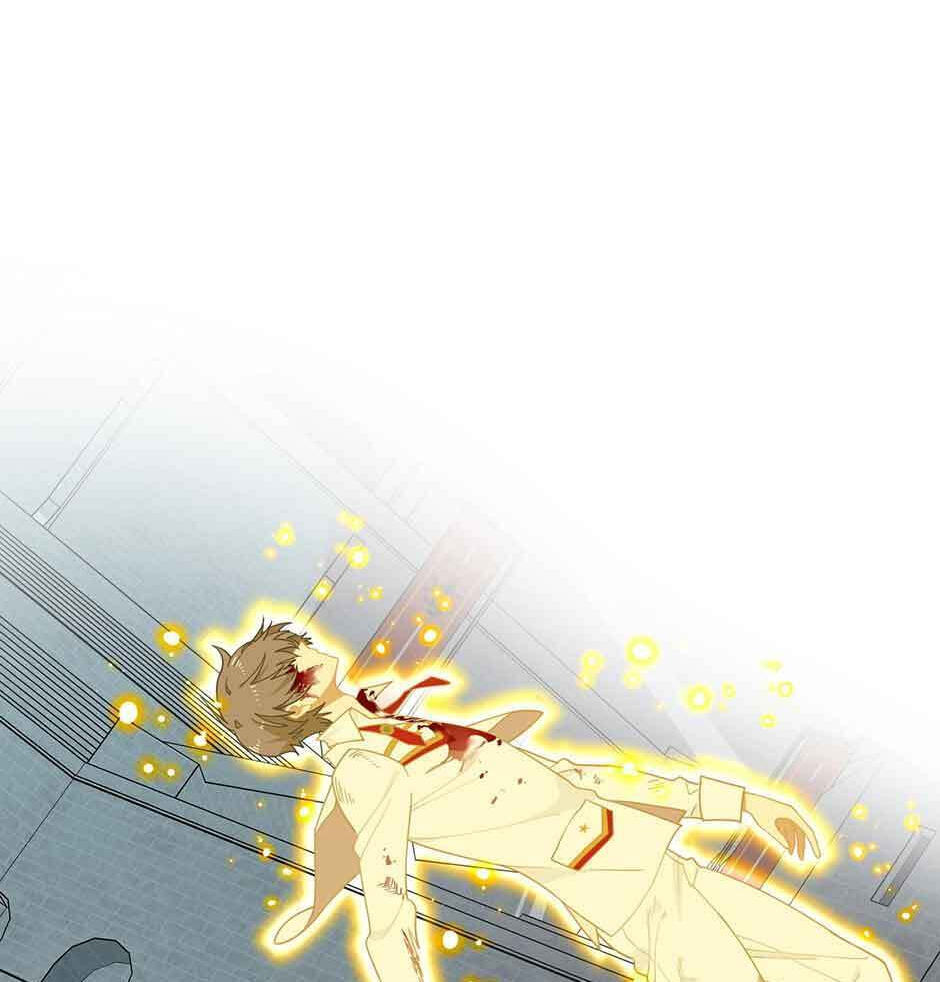 The Paladin