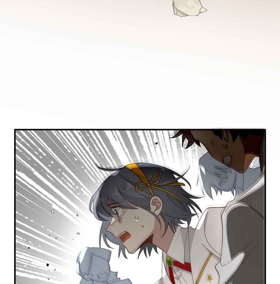The Paladin