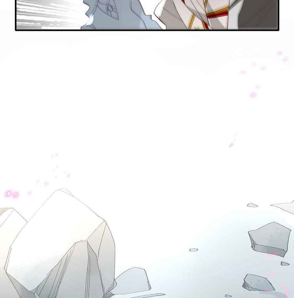 The Paladin