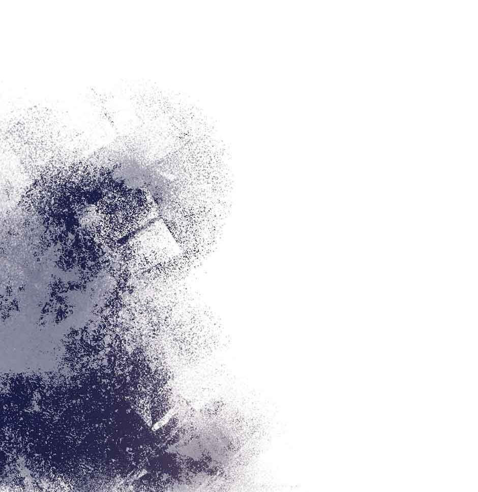 The Paladin