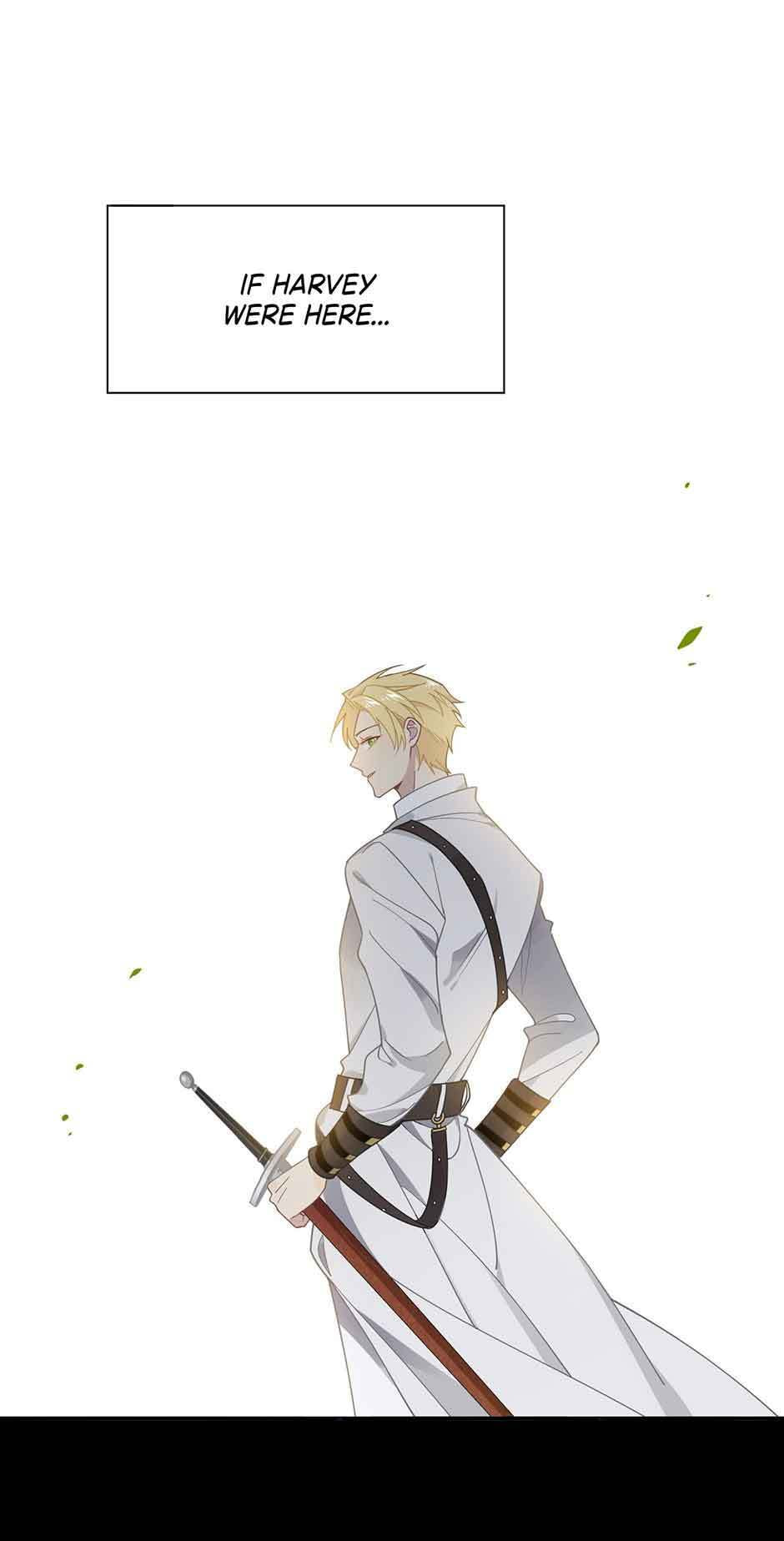 The Paladin