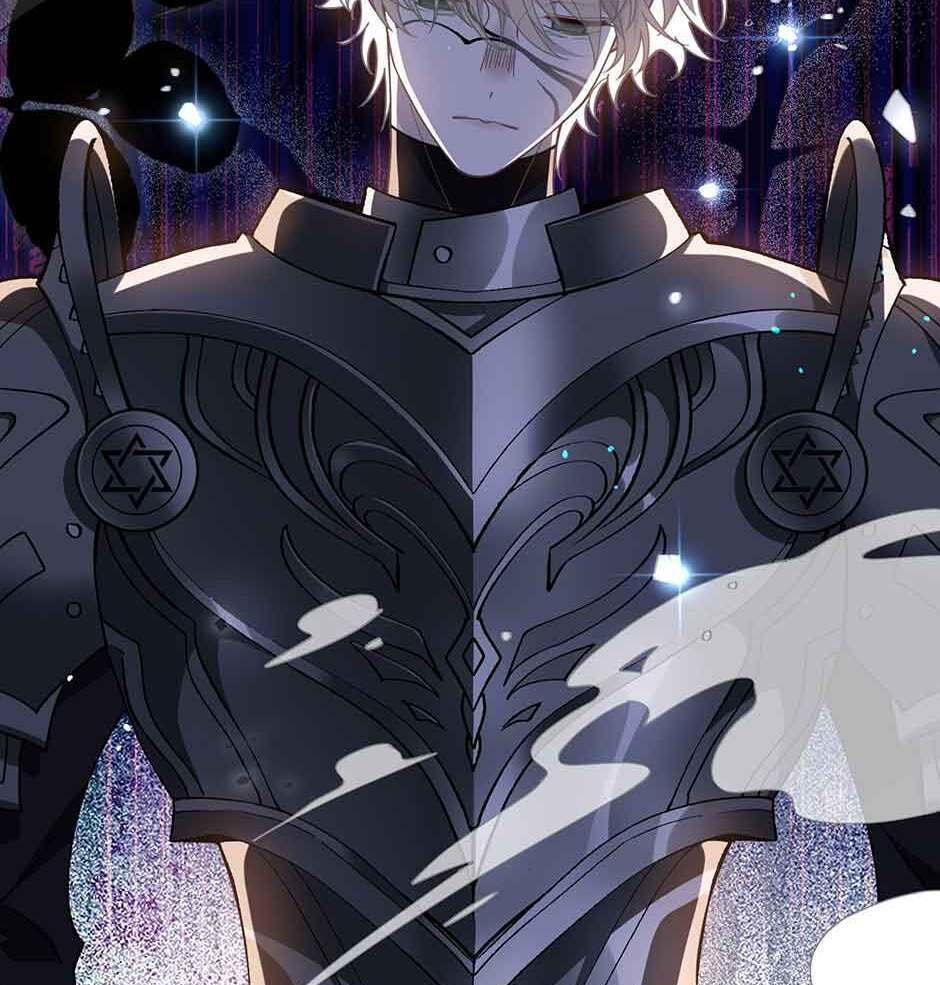 The Paladin