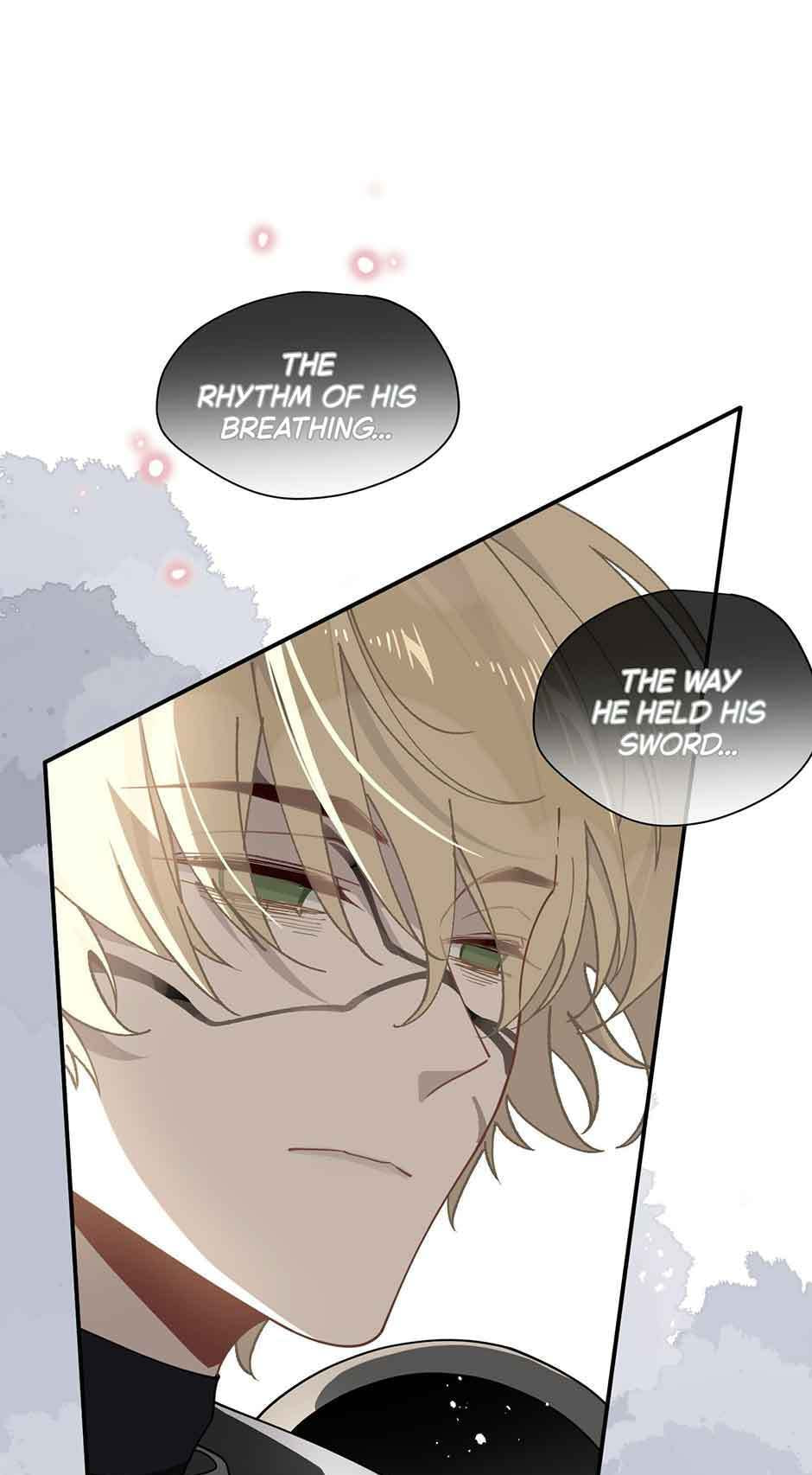 The Paladin