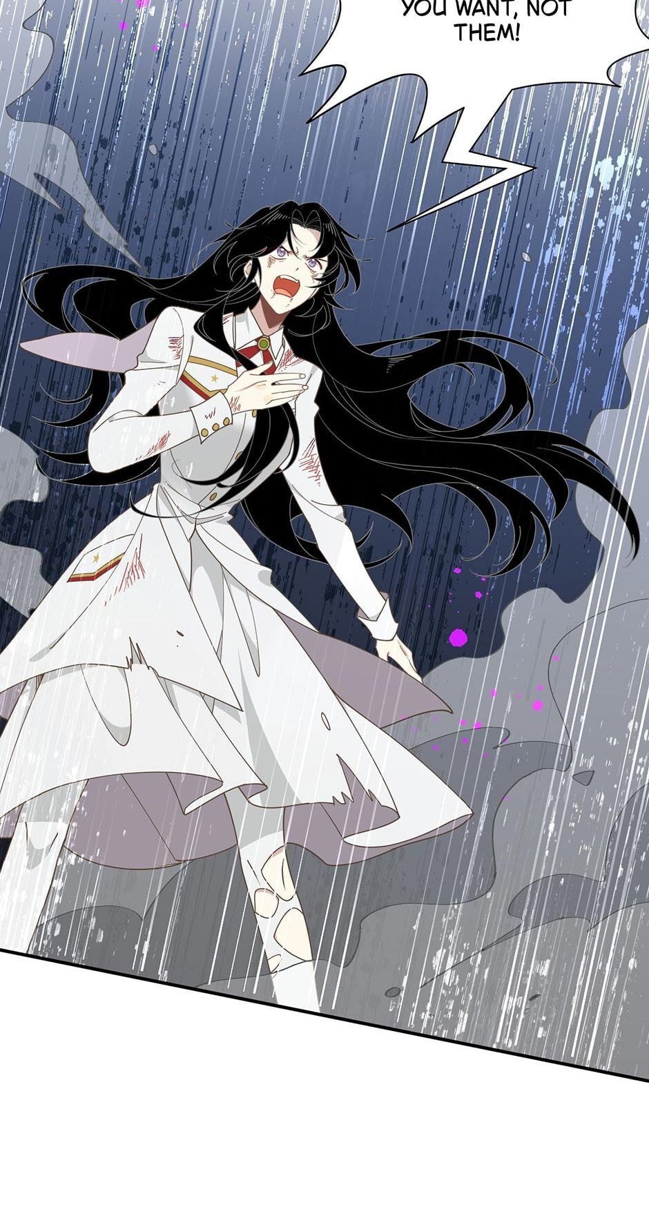 The Paladin